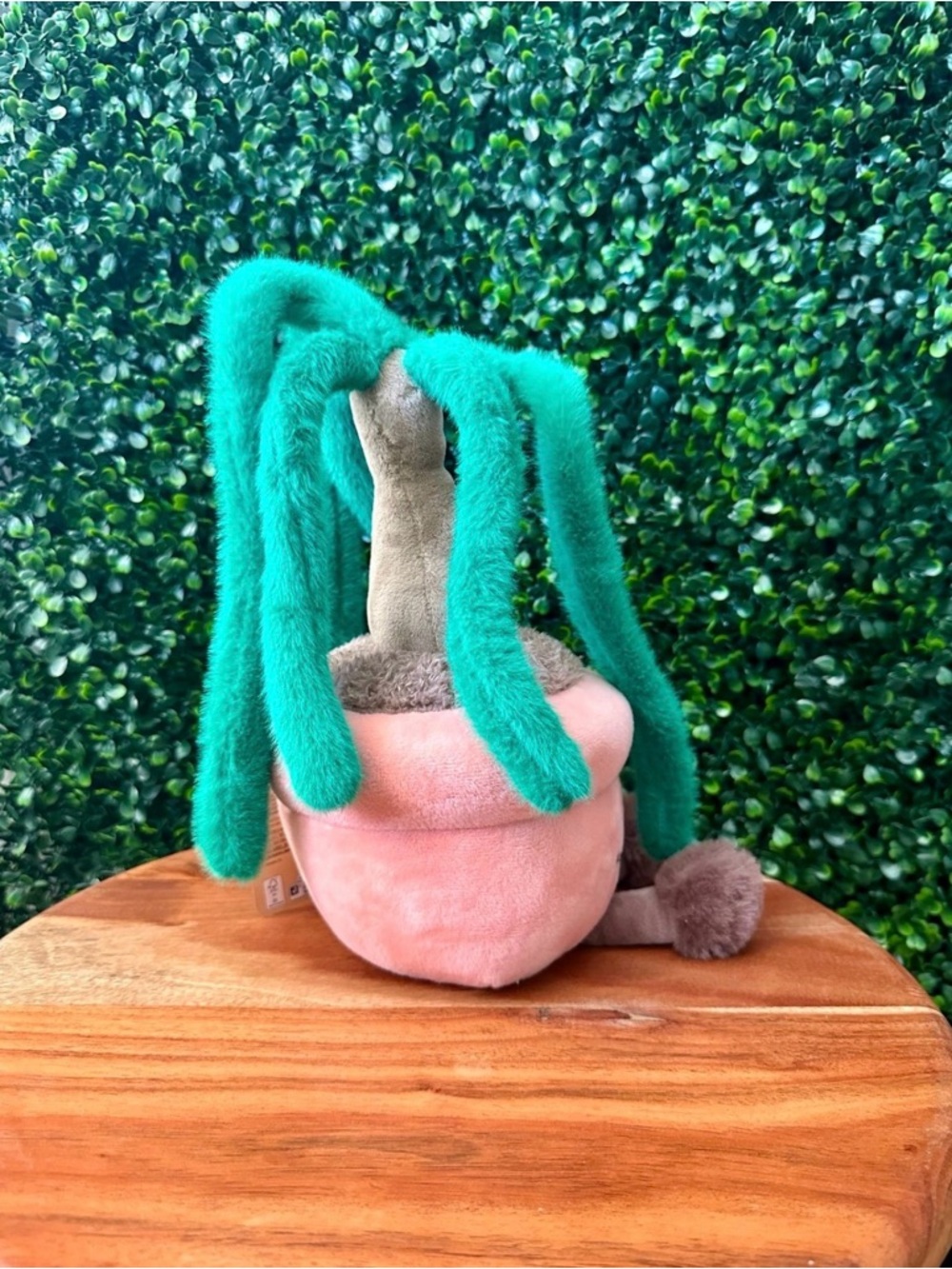 Greenhouse by Russ Helena the Ponytail Palm Tree (Succulent) 12” Plush - Picture 4 of 5